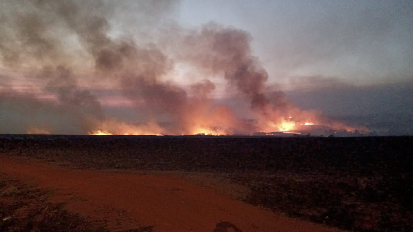 Mulher de 24 anos morre após sofrer queimaduras durante incêndio em canavial