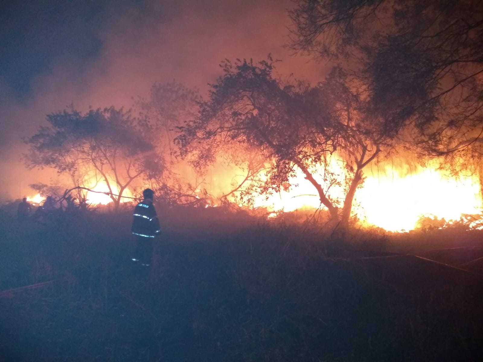 Piracicaba (SP) já registra aumento de 46% nos incêndios em vegetação em meio à crise hídrica