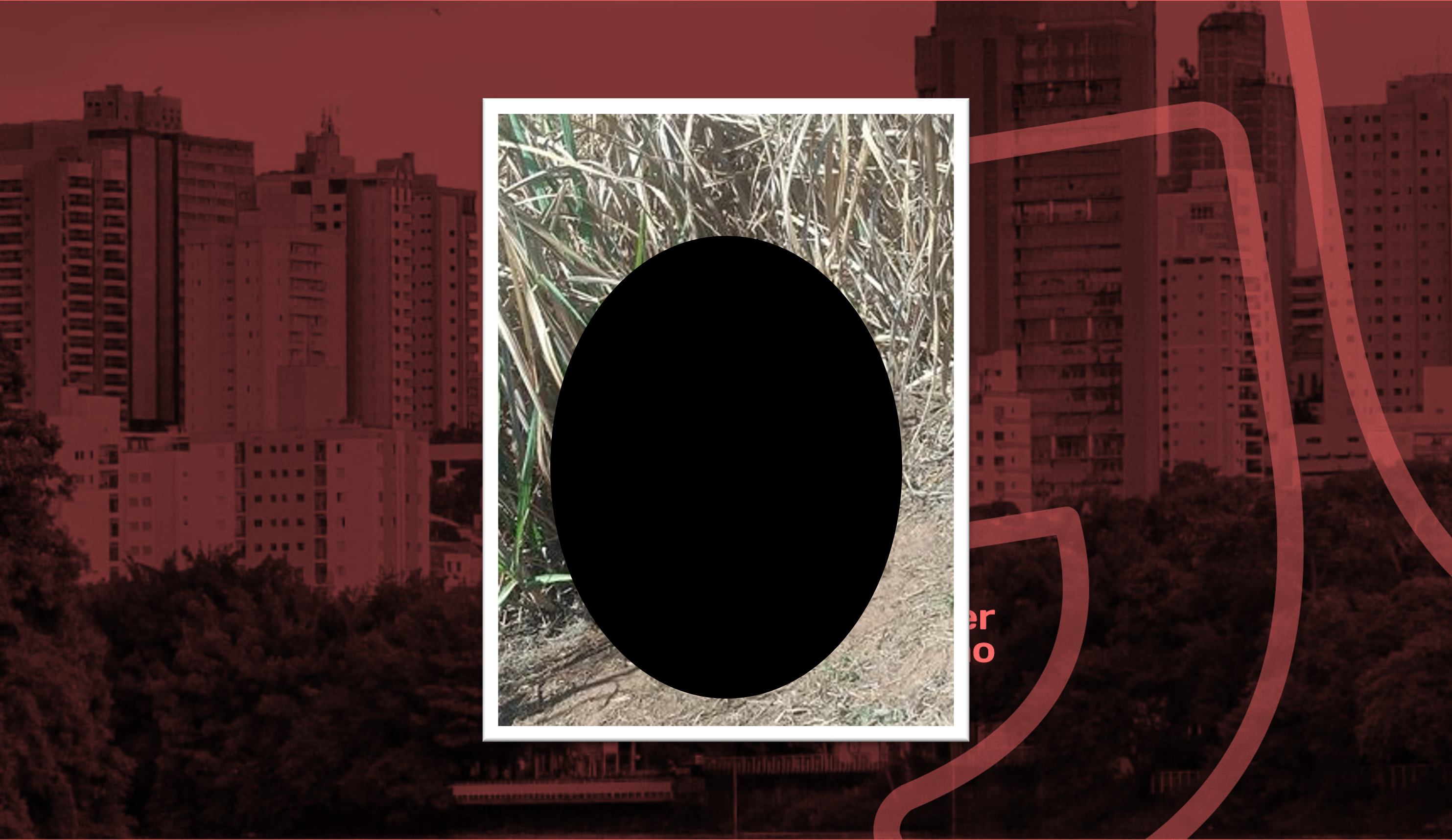 Cadáver em decomposição é encontrado em canavial de Piracicaba (SP)