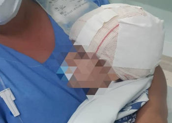 Foto: Divulgação/Guarda Municipal de Limeira