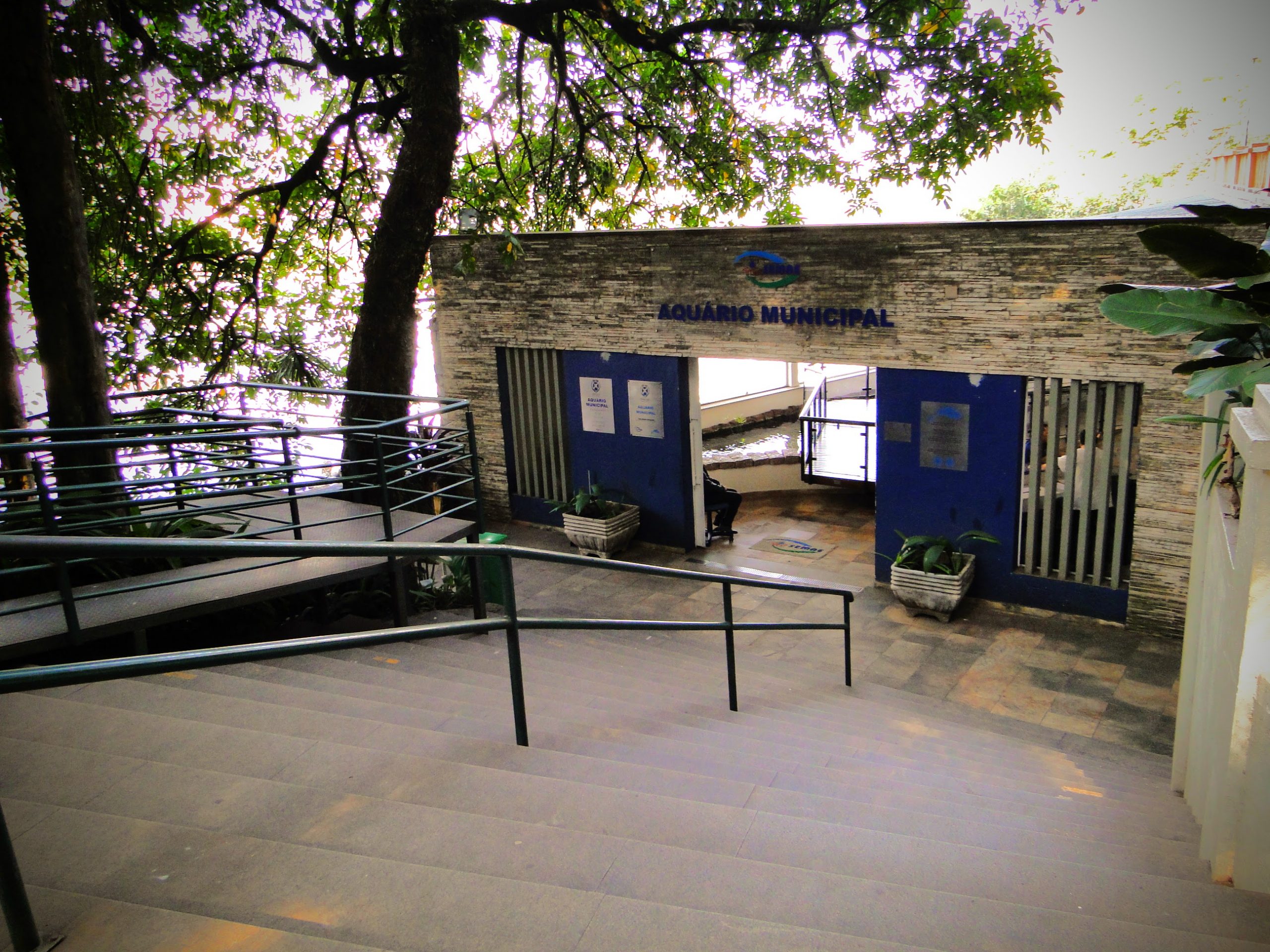 Aquário Municipal e Museu da Água reabrem para visitação em Piracicaba (SP)