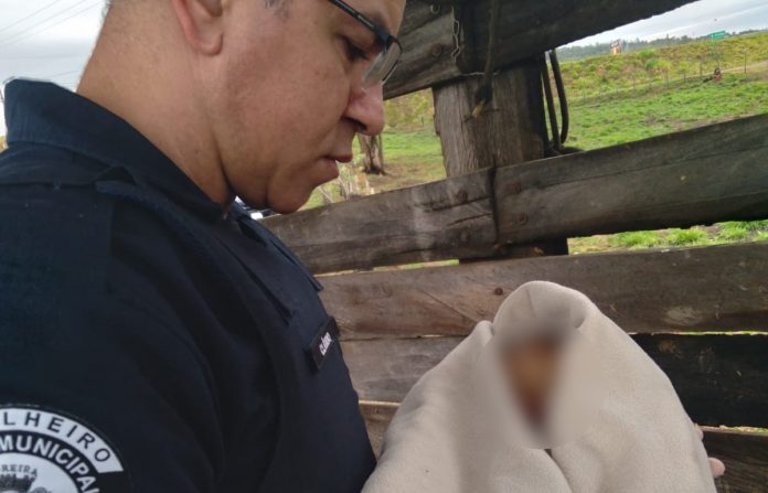Guarda Civil resgata bebê recém-nascida abandonada em fazenda