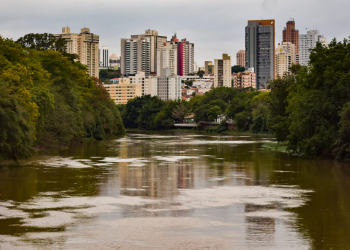 Foto: Wagner Romano / PIRANOT