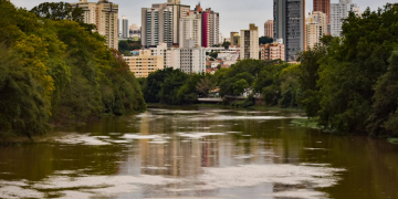 Foto: Wagner Romano / PIRANOT