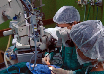 Foto: Arquivo/Elza Fiúza/Agência Brasil