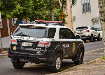 Foto: Wagner Romano / PIRANOT