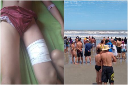 Menino de 11 anos é ferido por tubarão em praia de São Paulo