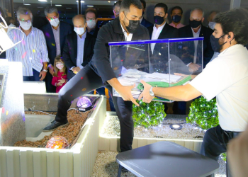 Foto: Gustavo Alves de Oliveira/PIRANOT