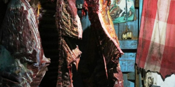 Foto: Reprodução/Globo