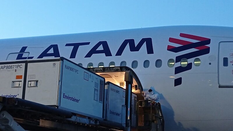 Avião com vacinas infantil para covid pousou em Campinas (SP) às 04h45 da manhã