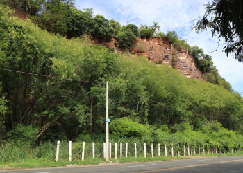Foto: Divulgação/Prefeitura de Piracicaba (SP)