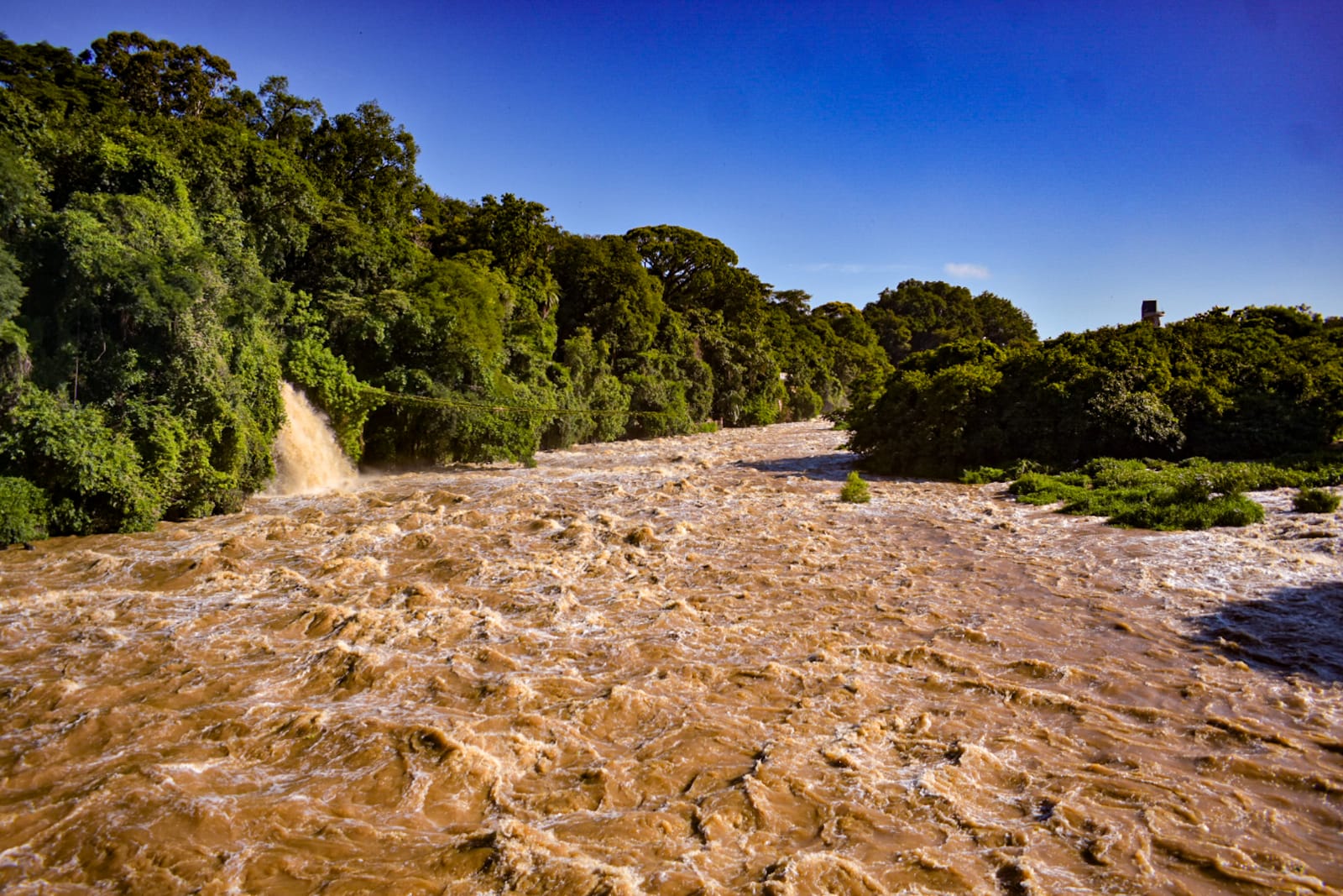 Nível do Rio Piracicaba sobe após temporal e entra em estado de alerta para transbordamento