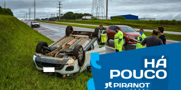 Foto: Wagner Romano / PIRANOT