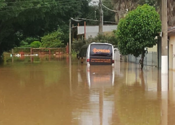 Foto: Você no PIRANOT