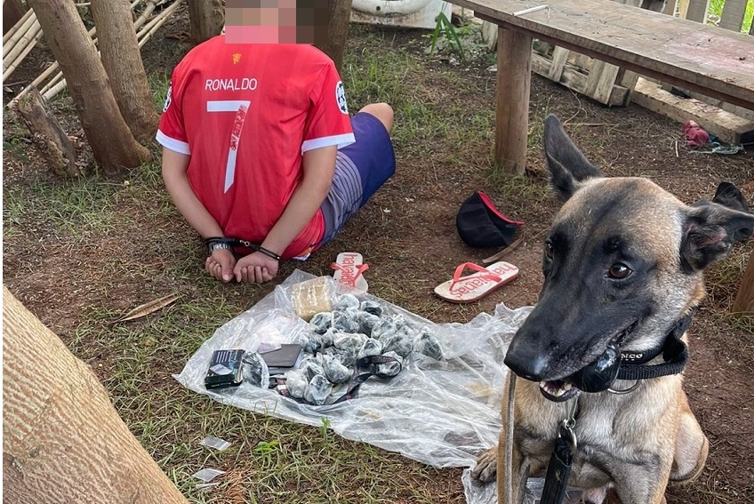 Polícia Civil de Piracicaba prende traficante de drogas e apreende R$ 12 mil reais