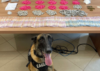 Foto: Divulgação/Polícia Civil