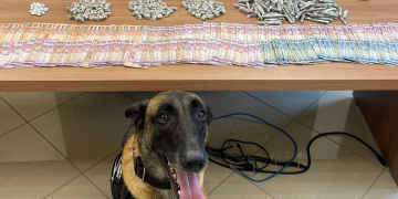 Foto: Divulgação/Polícia Civil