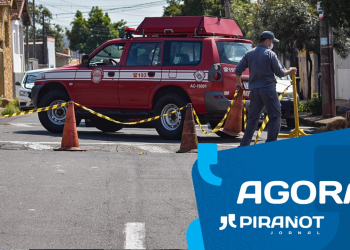 Foto: Wagner Romano / PIRANOT