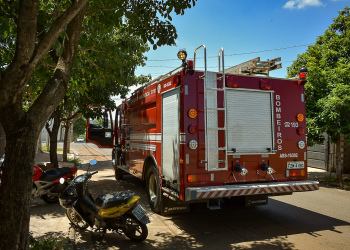 Foto: Wagner Romano / PIRANOT