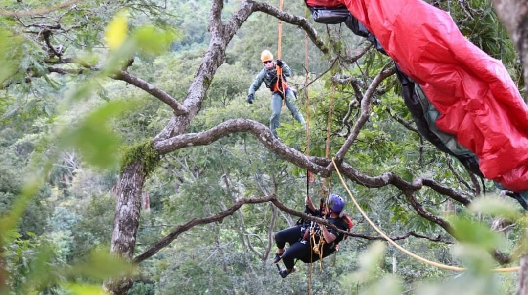 Mulher fica presa em árvore após salto na serra e é salva pelo Águia de Piracicaba (SP)