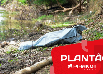 Foto: Wagner Romano / PIRANOT