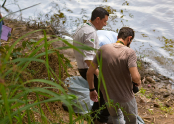 Foto: Wagner Romano / PIRANOT