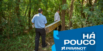 Foto: Wagner Romano / PIRANOT