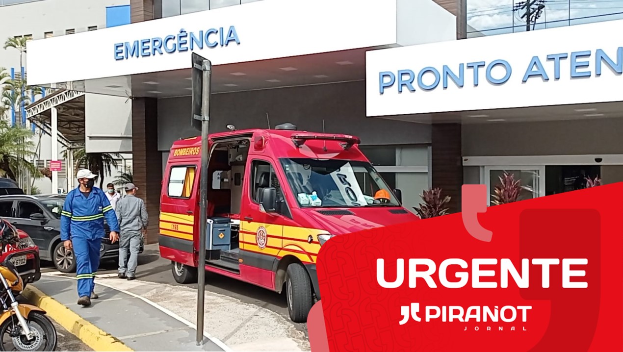 Homem toma mais de 100 picadas de abelha durante poda de árvore em Piracicaba (SP)