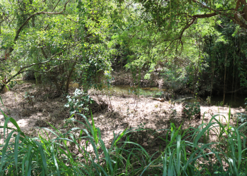 Desassoreamento é essencial para evitar alagamentos na região | Foto: Andressa Mota/CCS