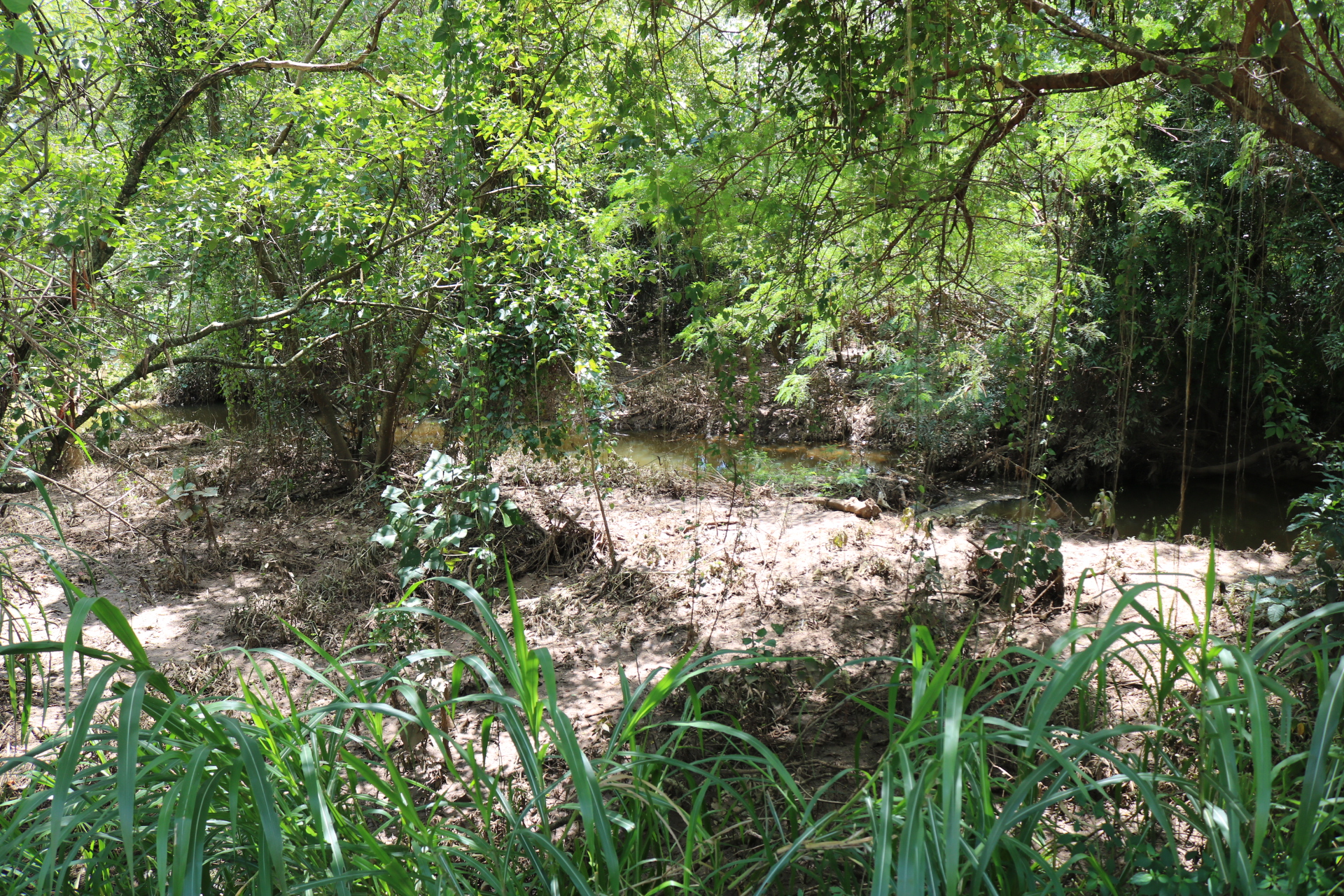 Piracicaba é contemplada no programa Rios Vivos para desassorear o ribeirão Piracicamirim