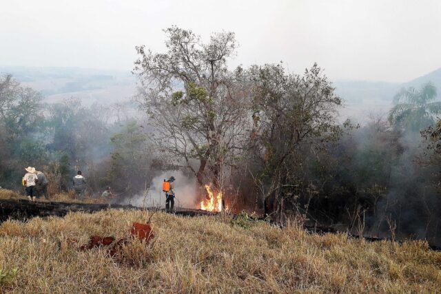 Irmãos morrem carbonizados ao tentar combater incêndio em fazenda