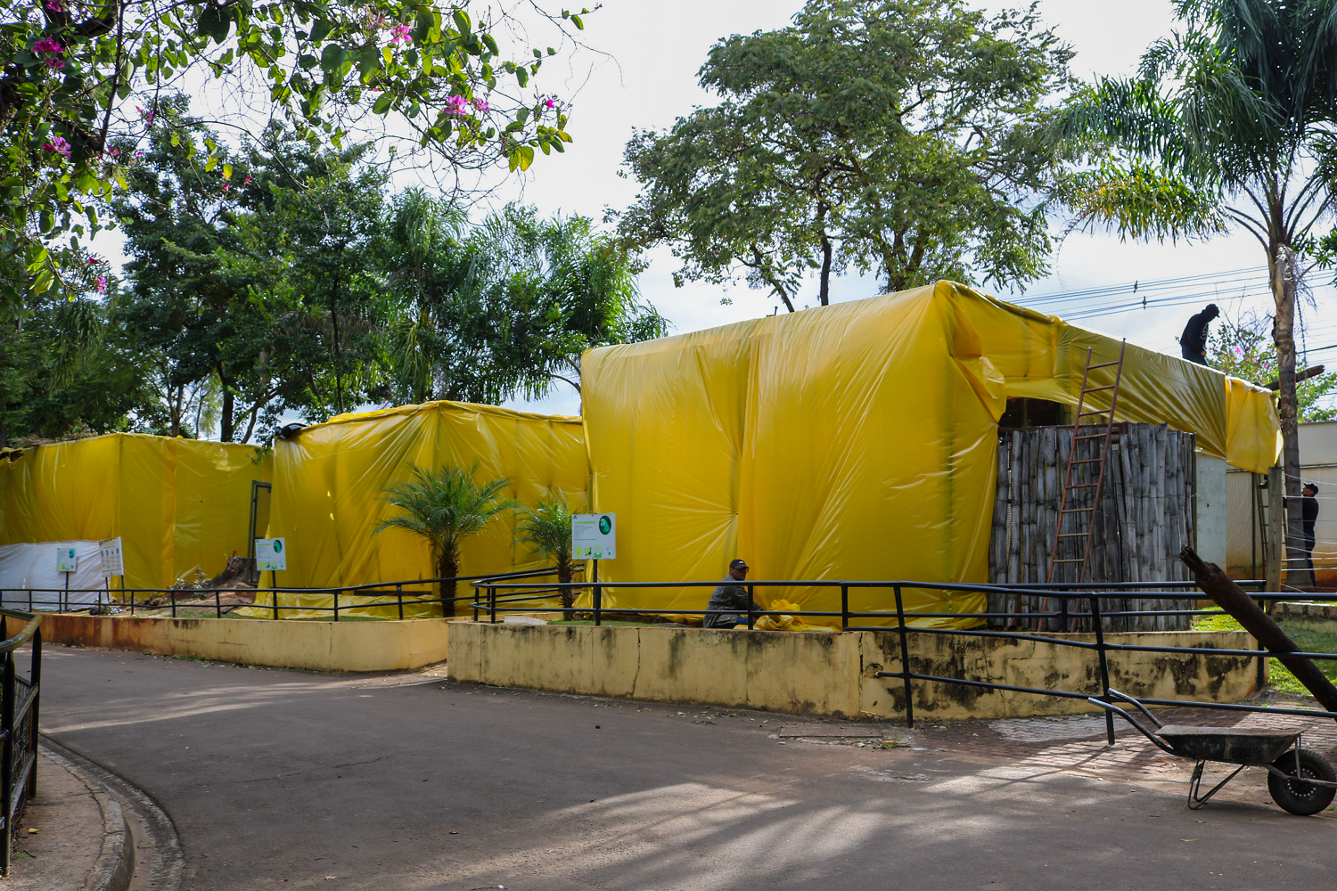 Zoológico de Piracicaba modifica alimentação e recintos dos animais durante dias frios