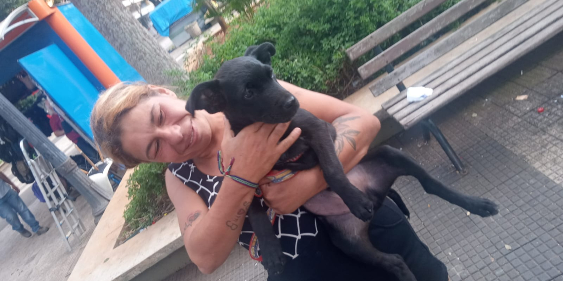 Foto: Divulgação/Smads