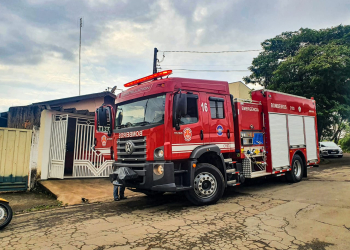 Foto: Wagner Romano / PIRANOT