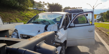 Foto: Wagner Romano / PIRANOT