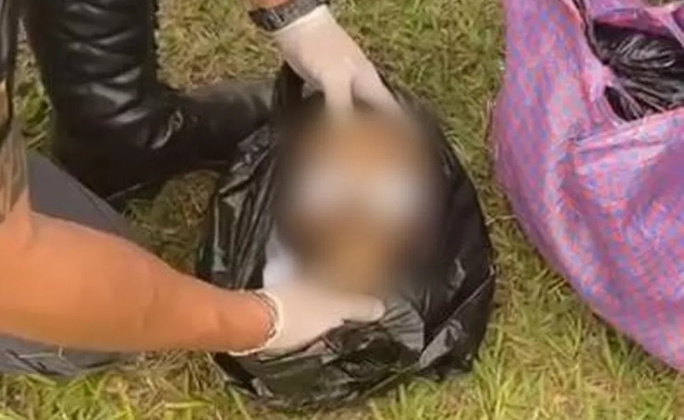 Justiça manda devolver cabeça decapitada achada em mochila de irmão: “ritual familiar”