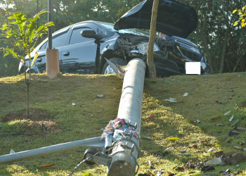 Foto: Wagner Romano / PIRANOT