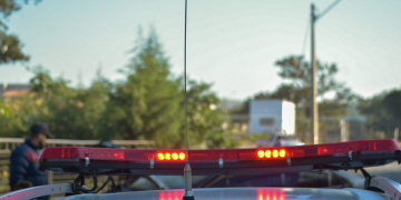 Foto: Wagner Romano / PIRANOT