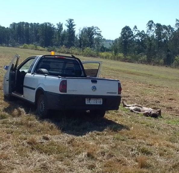 Homem desaparecido em Araras há 14 dias é localizado em Piracicaba