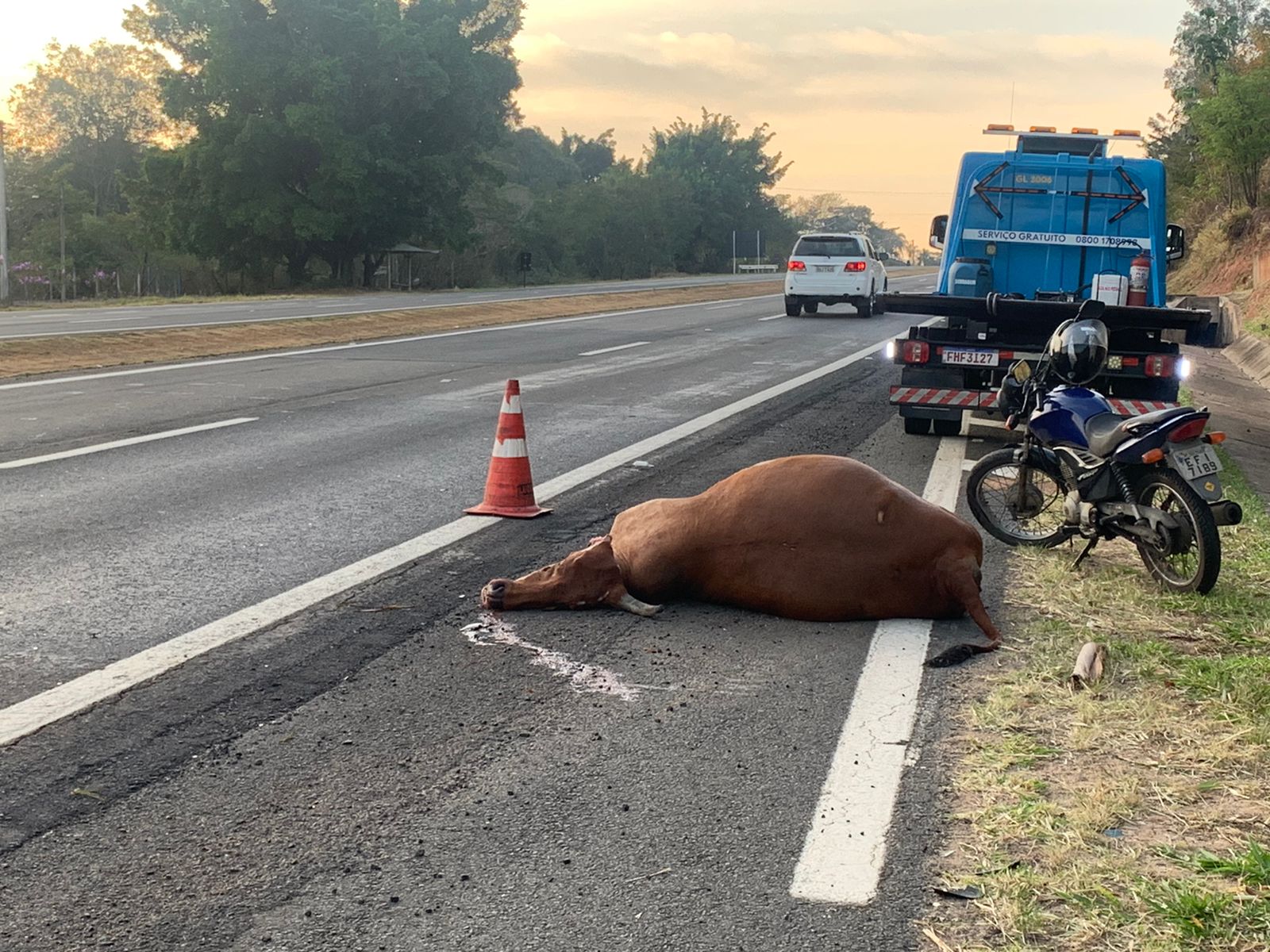 Duas pessoas ficam feridas e vaca morre após acidente na Geraldo de Barros