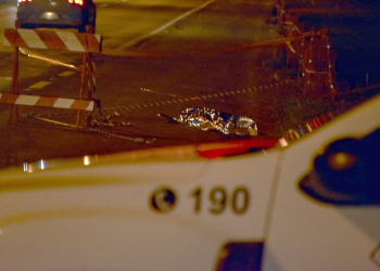 Foto: Wagner Romano / PIRANOT