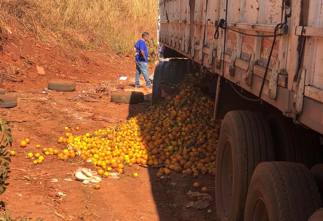 Caminhão é multado em Piracicaba (SP) descartando laranjas estragadas