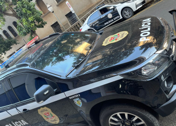 Foto: Polícia Civil/ Divulgação