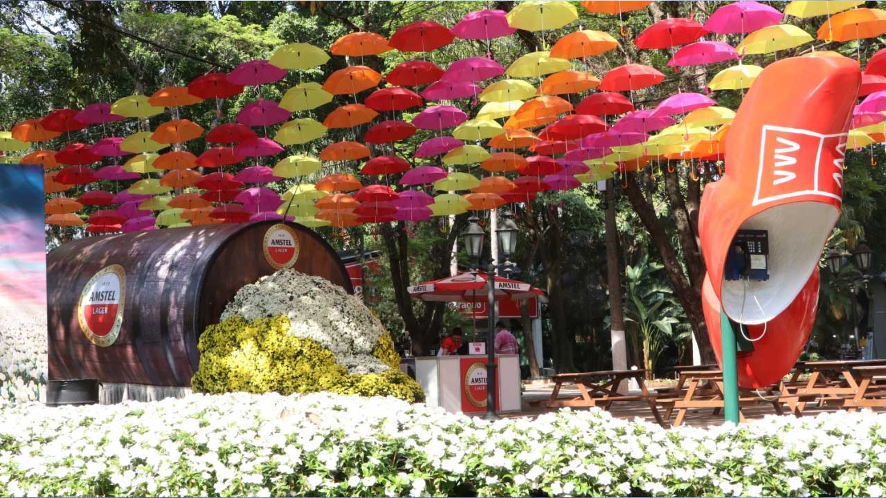 Agência de turismo de Piracicaba (SP) divulga agenda de viagens e passeios