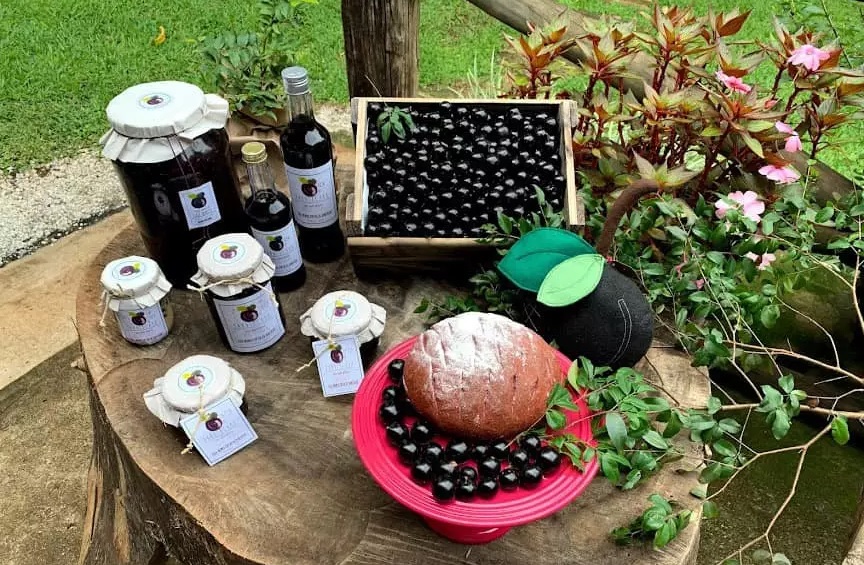 Seis motivos para participar do Festival Gastronômico da Jabuticaba