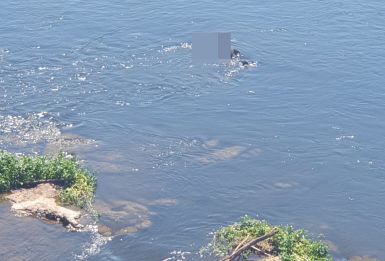 Homem encontrado morto no Rio Piracicaba está no IML para identificação