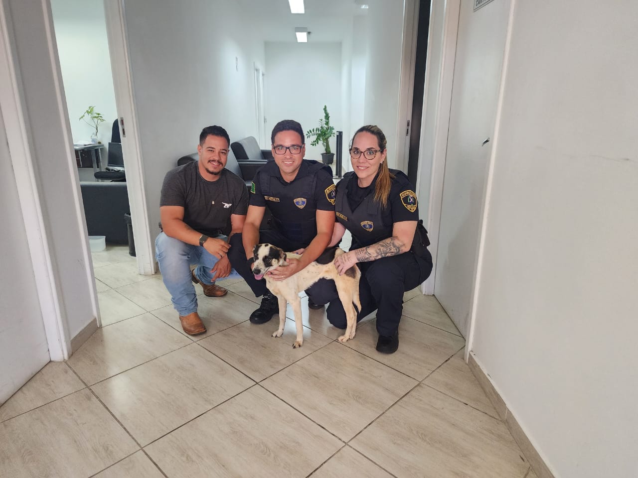 Cachorro abandonado por dez dias dentro de imóvel é resgatado em Piracicaba (SP)