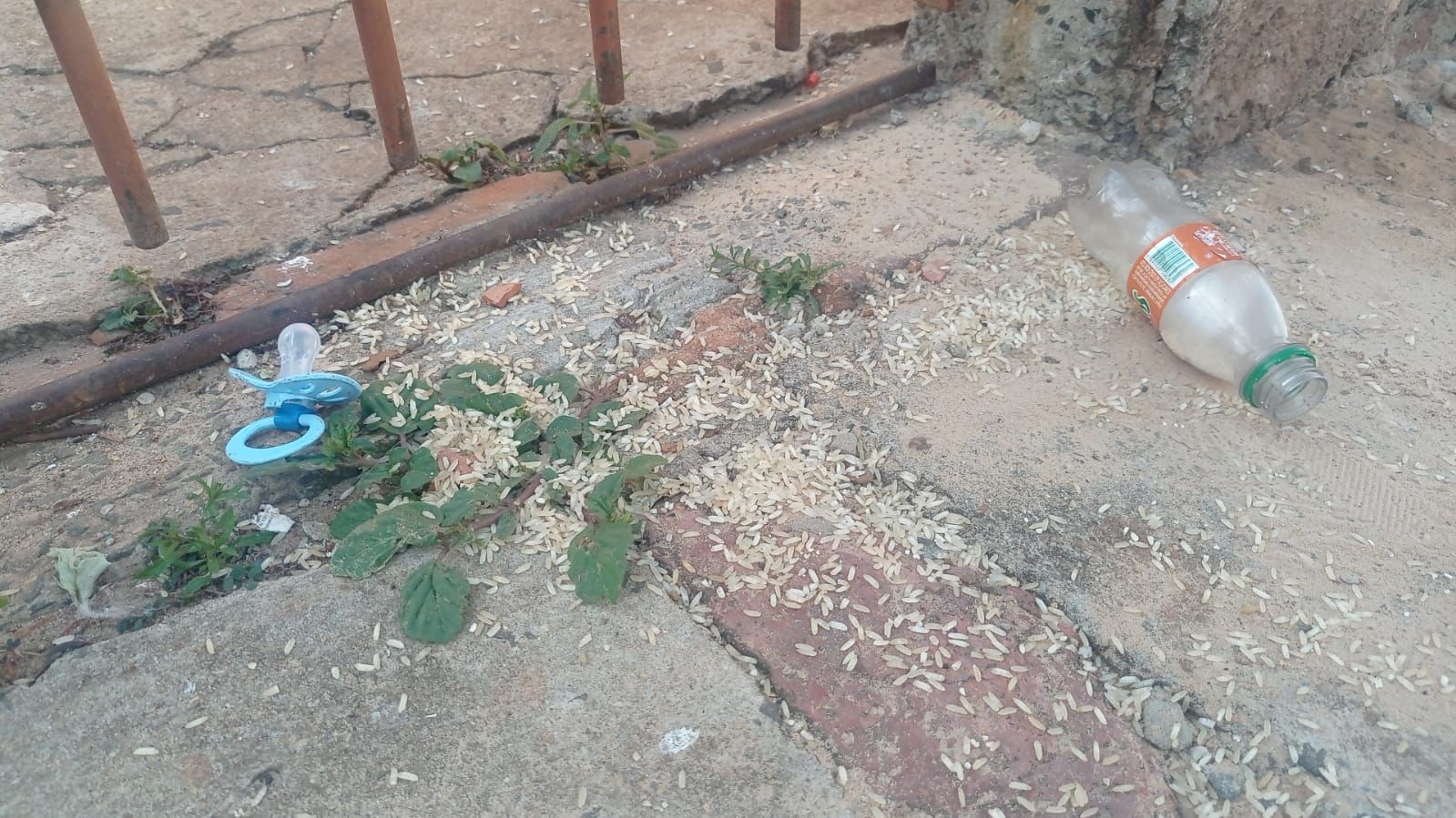 Três crianças são resgatadas pela PM abandonadas sozinhas dentro de residência em Piracicaba