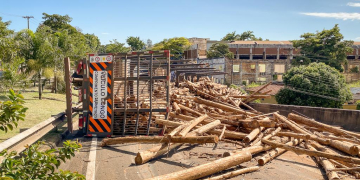 Foto: Wagner Romano/PIRANOT