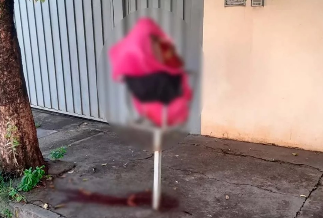 Mulher encontrada morta dentro de lixeira é identificada e tinha 27 anos